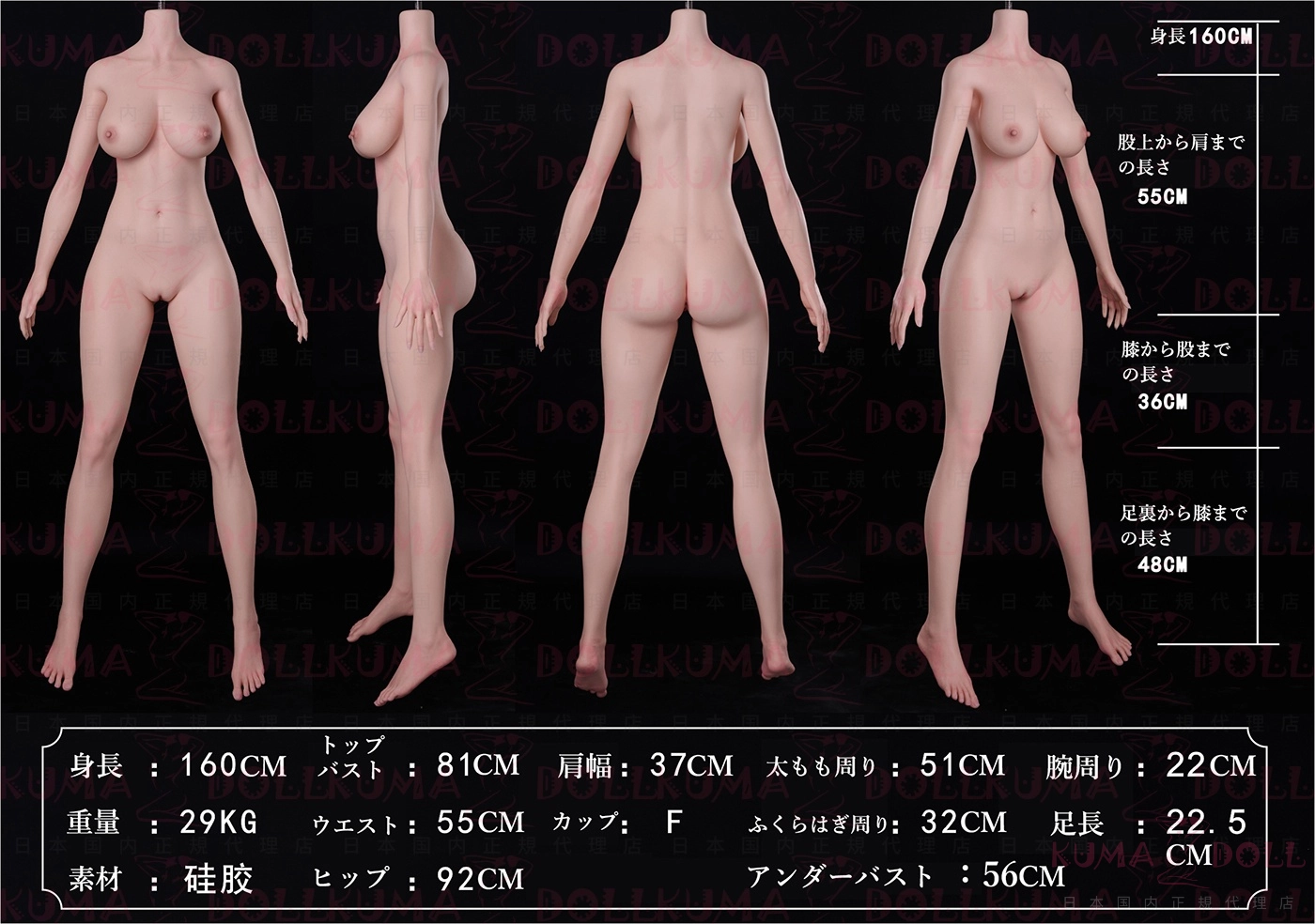BQDOLL 160cm Fカップラブドールボディ