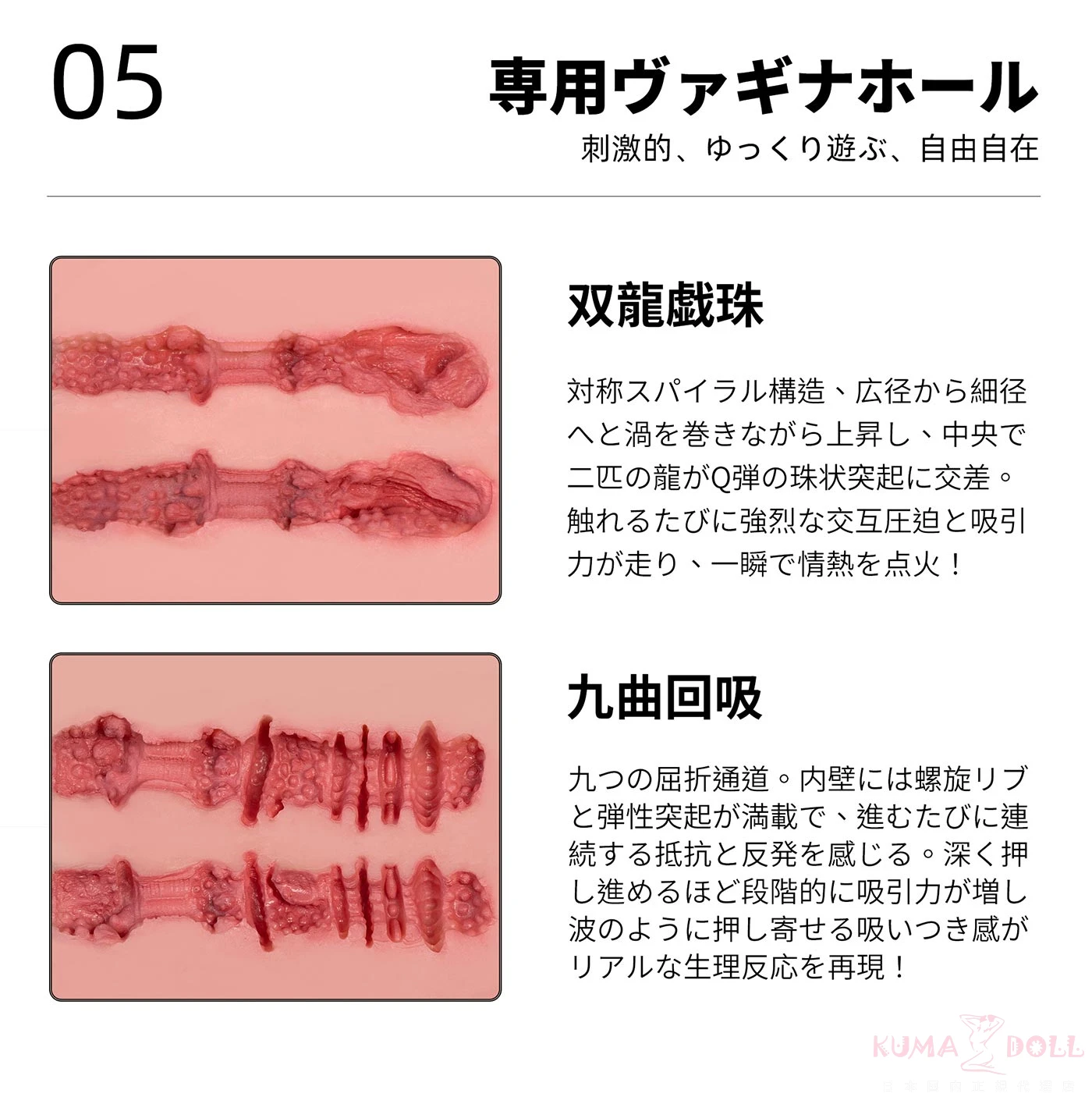 内部構造