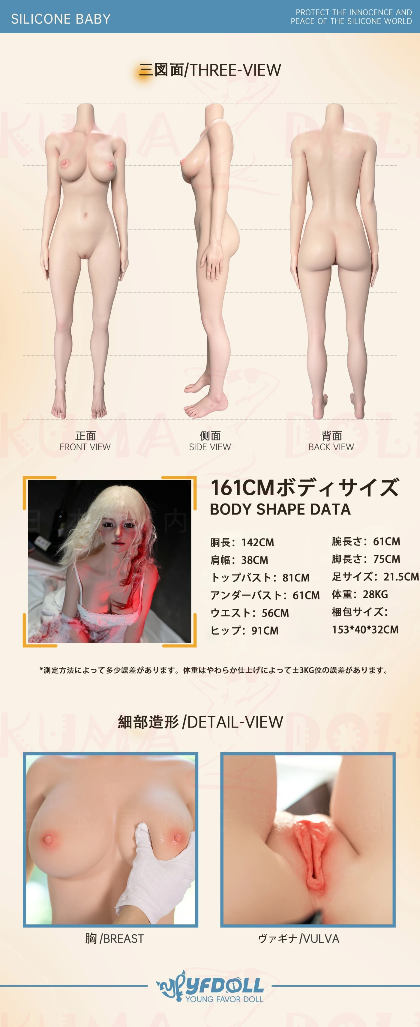 YFDOLL 161cm ボディ