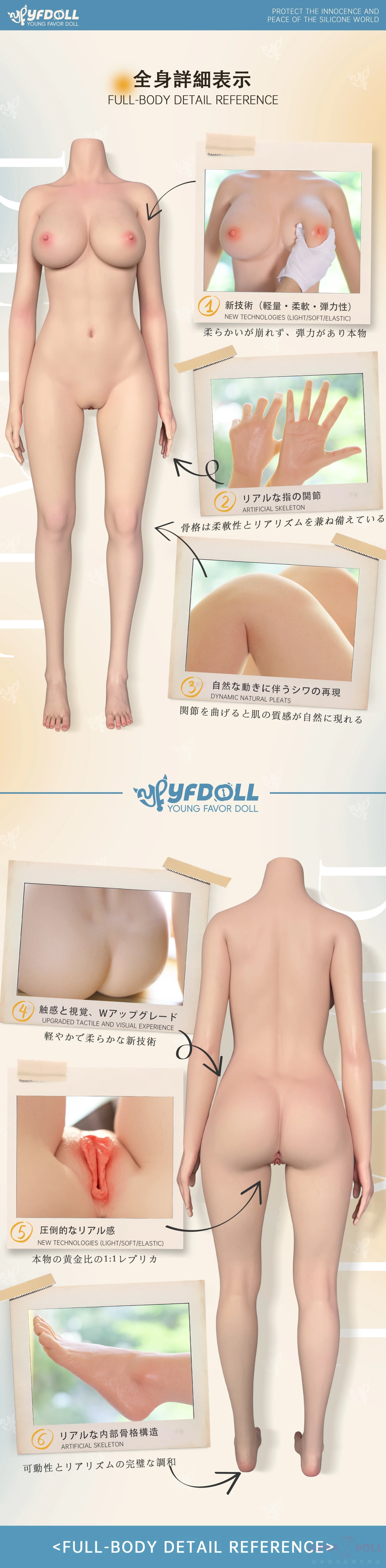 YFDOLL ボディ詳細