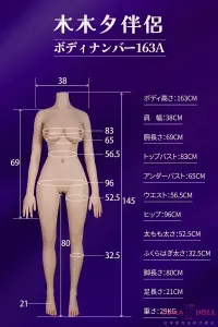163cm Dカップアダルトドールボディ