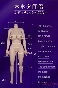 170cm Iカップリアルドール身体