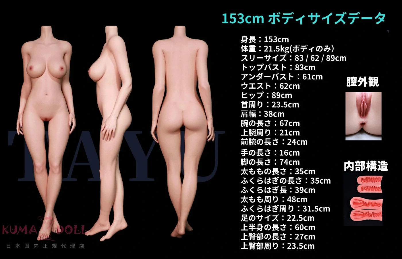 ARTDOLL セックス 人形 153cm Fカップ