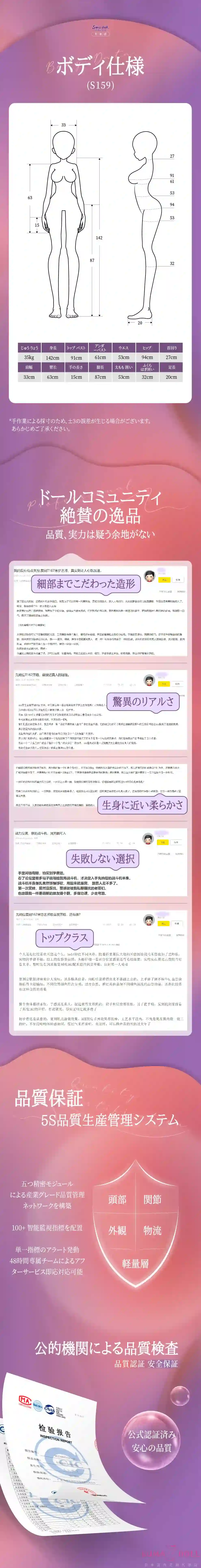 戦闘機 SinoDoll 凛美ヘッド